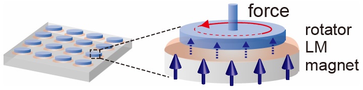 垂直磁化膜から液体金属への力学的スピントルクの概念図